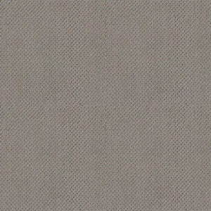 Lightbourne - Shadow - Gray 39.3 oz. Nylon Loop Installed Carpet
