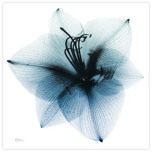 "Glacial Amaryllis" Unframed Free Floating Tempered Glass Panel Graphic Wall Art Print 38 in. x 38 in.