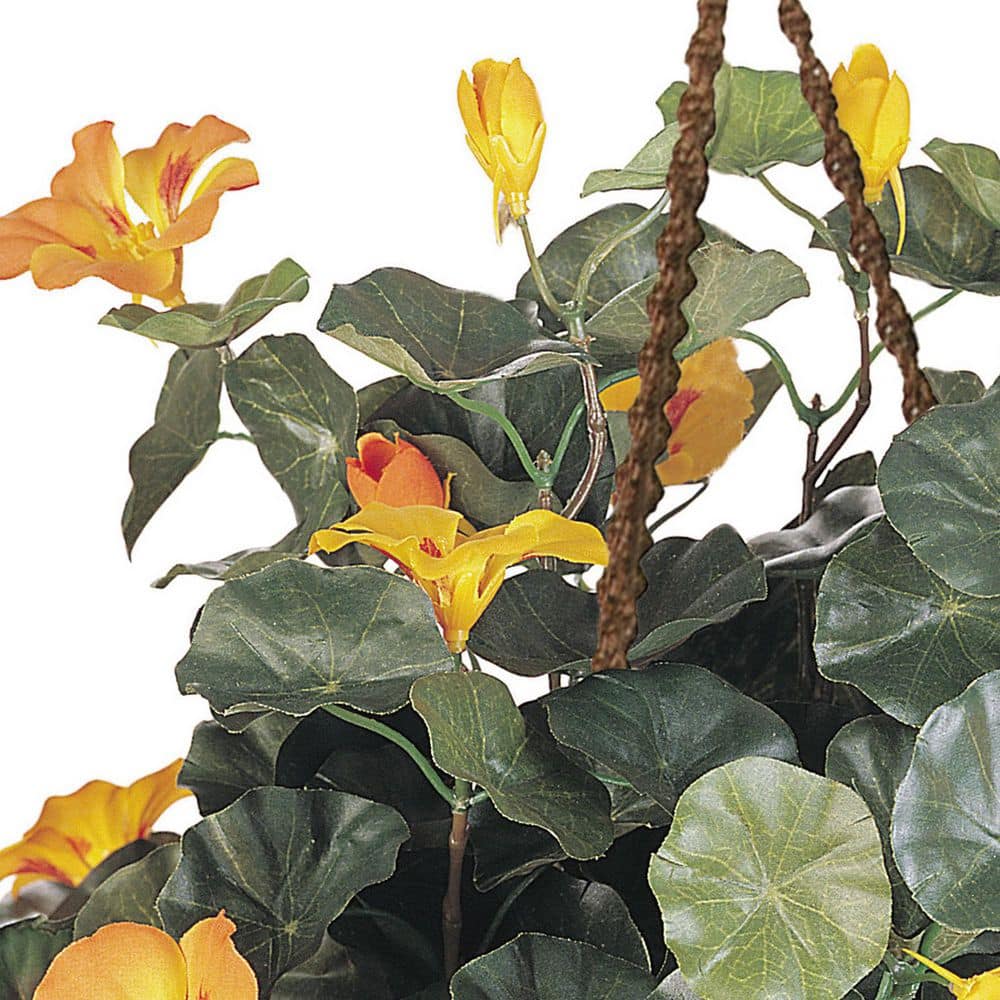 Vibrant Nasturtium Silk Hanging Basket with Yellow Flowers