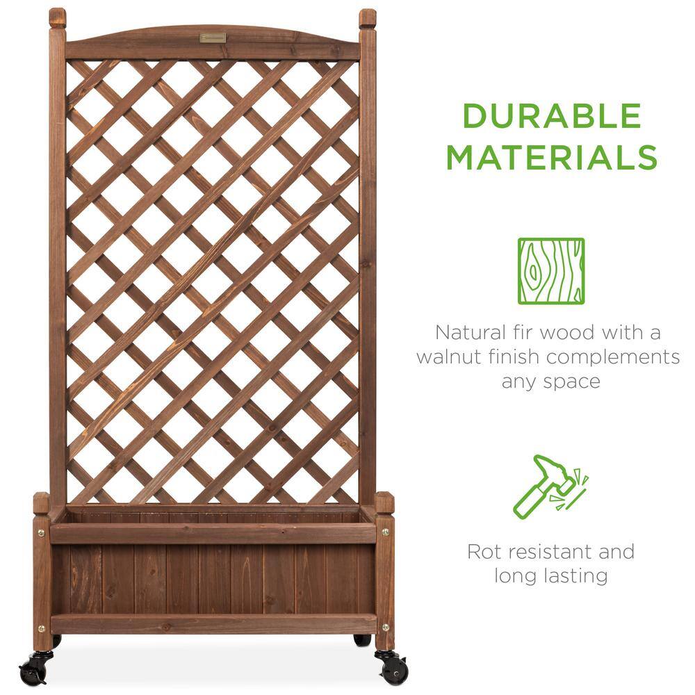 Set of 2 Walnut Fir Wood Planter Box with Trellis