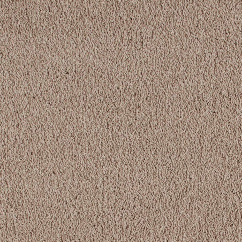 8 in. x 8 in. Texture Carpet Sample - Northern Hills I -Color Farm Town price history on PriceWatchPro