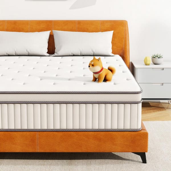 WONDER COMFORT Modern Queen Medium Cool Gel Memory Foam 10 in. Bed-in-a-Box Hybrid Mattress with Silent Pocket Spring