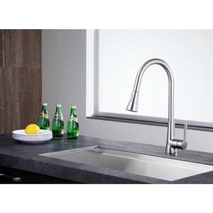 Tulip Single-Handle Pull-Out Sprayer Kitchen Faucet in Brushed Nickel