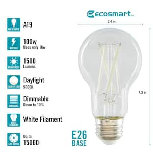 100-Watt Equivalent A19 Dimmable White Filament CEC Clear Glass E26 LED Light Bulb, Daylight 5000K (2-Pack)