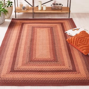 Braided Orange Rust 5 ft. x 8 ft. Abstract Border Area Rug