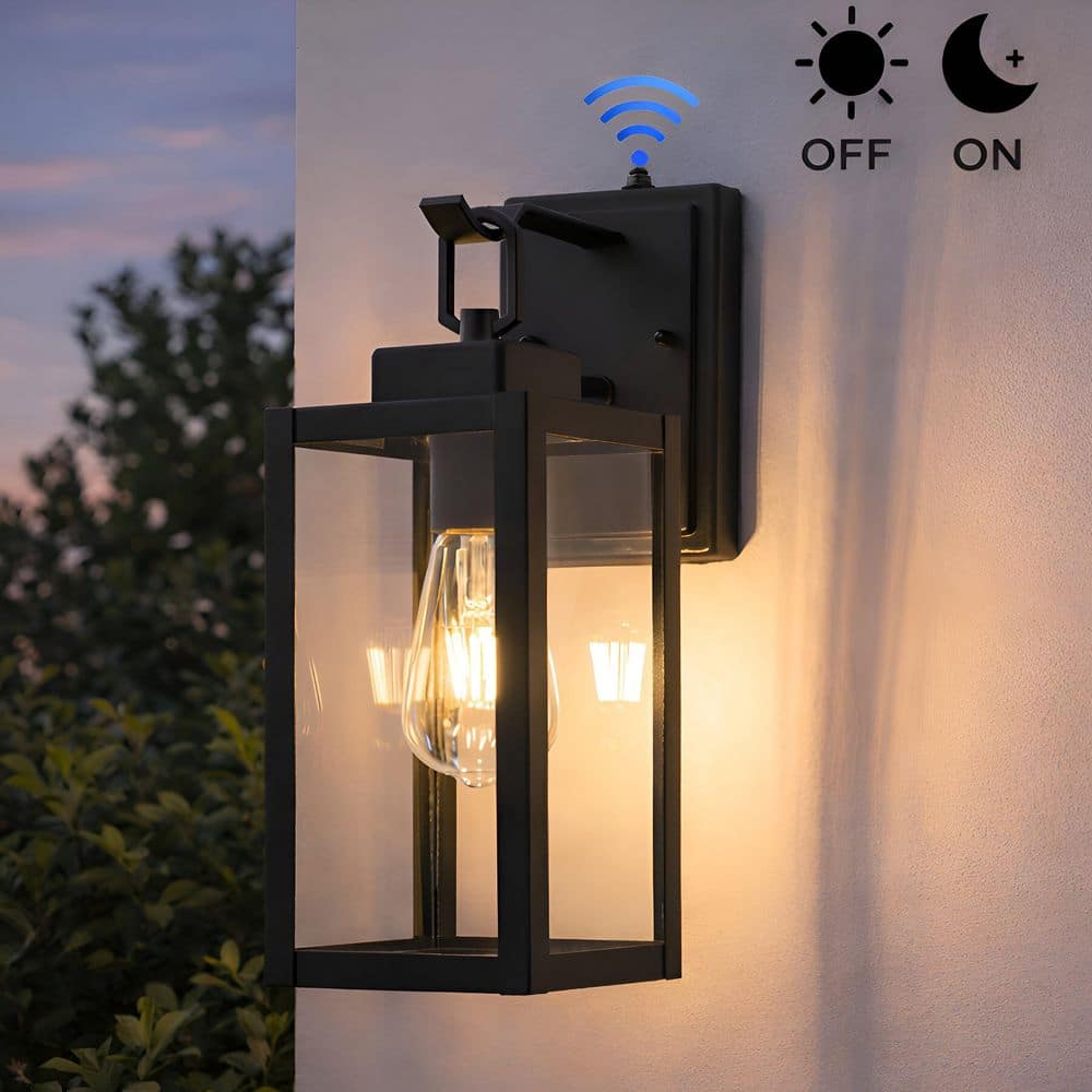 matte-black-c-cattleya-outdoor