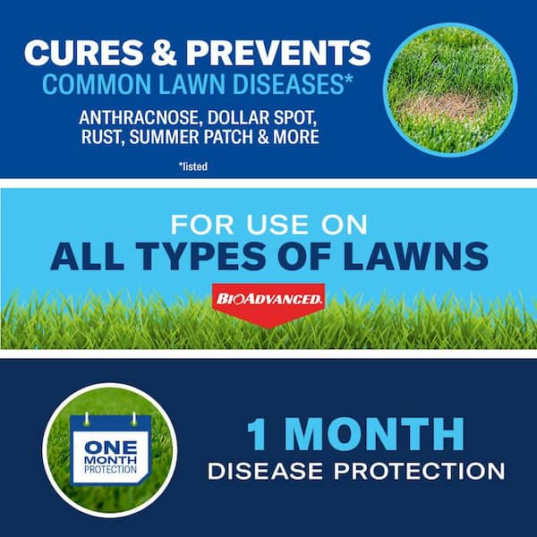 32 oz. Ready-to-Spray Fungus Control for Lawns Fungicide