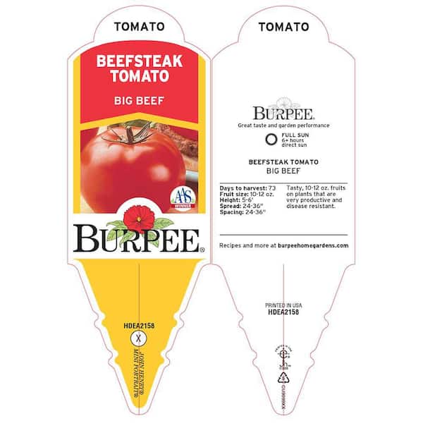 Burpee Pint Tomato Plant Bushsteak-3 Pack 4804PF - The Home Depot
