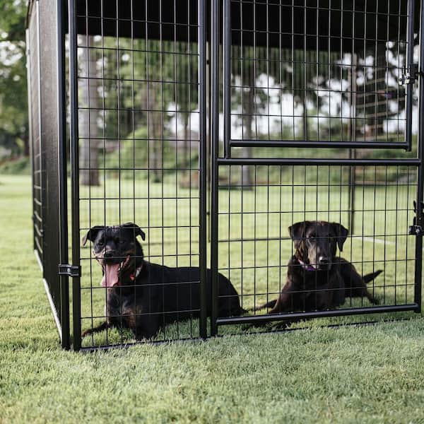 【中古】 Ruby Kennel Club BlindAlley LZBEITEM 10 x 10 ft ( 118