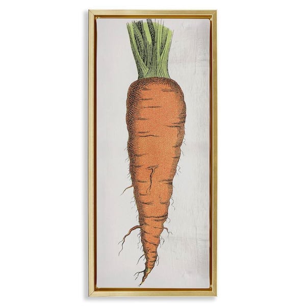Stupell Industries Detailed Carrot Study by Daphne Polselli Gold Floater Frame Food Graphic Art Print 25 in. x 11 in.