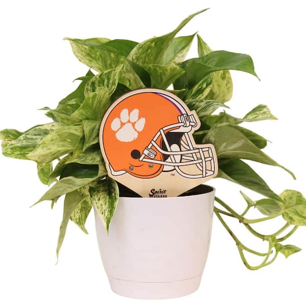 clemson football helmet paws Award Decals Paw Orange Sticker 100 1" 20mil Vinyl Made in USA Designed to stand out in any space Clemson Tigers Helmet Earring -