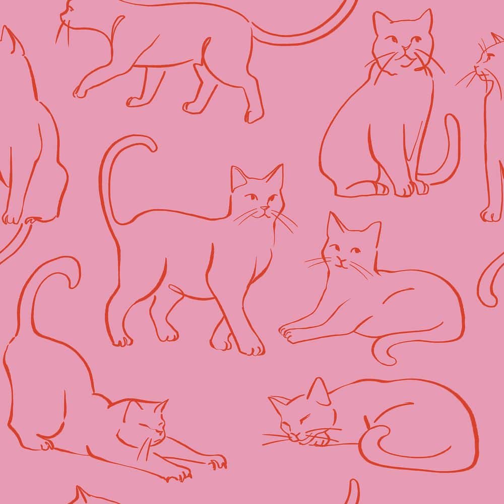 Tabbies INSURANCE Labels - 3 Tabbies INSURANCE Labels - 3