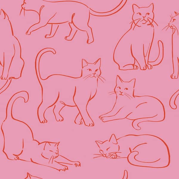 Cat Poses Pink Peel and Stick Wallpaper
