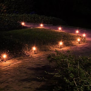 Pathway Clear String Lights (Set of 10)