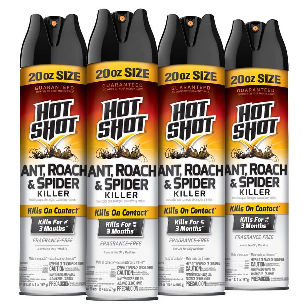 20 oz. Ant Roach and Spider Insect Killer Aerosol Spray (4-Pack) price history on PriceWatchPro