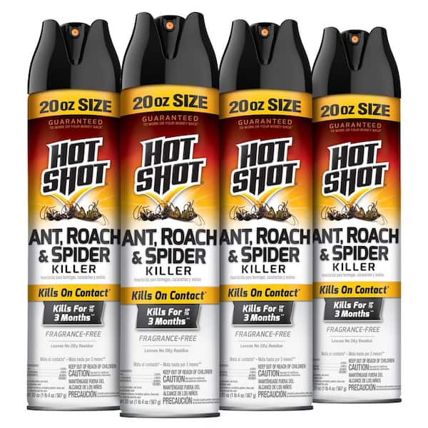 20 oz. Ant Roach and Spider Insect Killer Aerosol Spray (4-Pack)