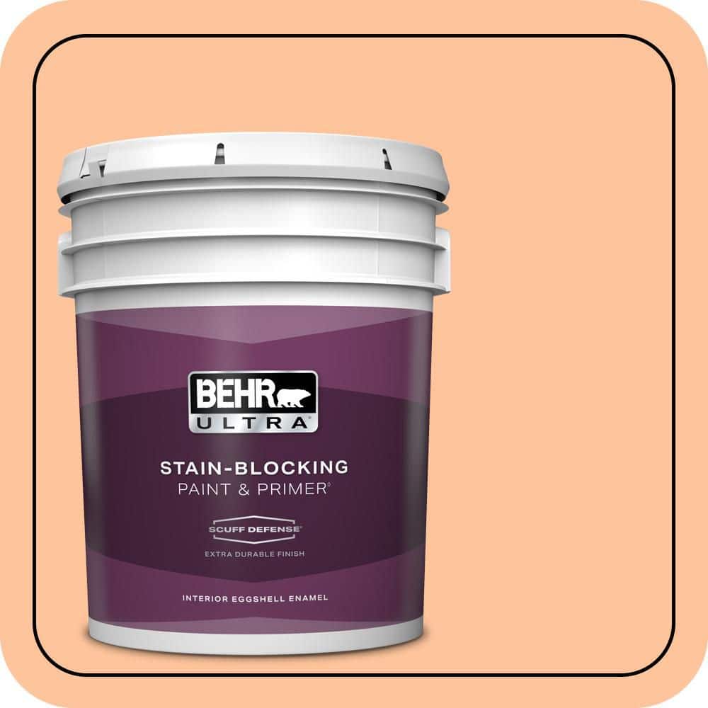 5 gal. #260B-4 Orange Sherbet Extra Durable Eggshell Enamel Interior Paint & Primer price history on PriceWatchPro
