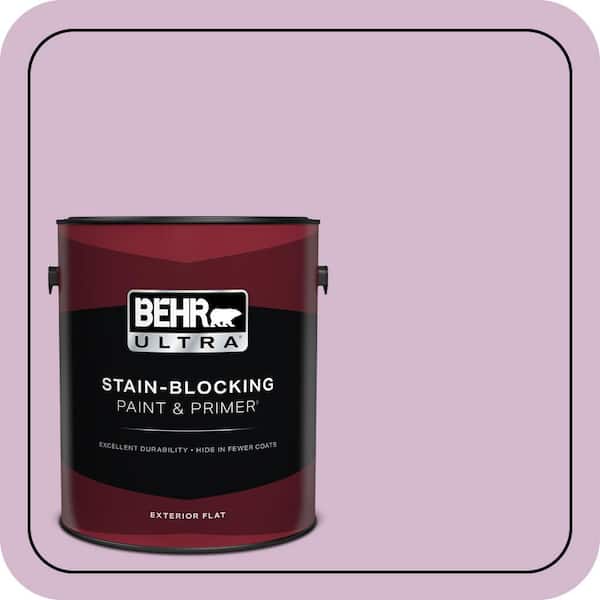 1 gal. #M110-3 Bedazzled Flat Exterior Paint & Primer