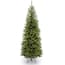 National Tree Company 6.5 ft. Kingswood Fir Hinged Pencil Tree KW7-500-65