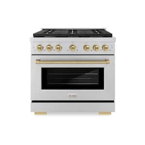 Paramount 36 in. 6-Burner Dual Fuel Range with Convection Oven in Stainless Steel and Champagne Bronze