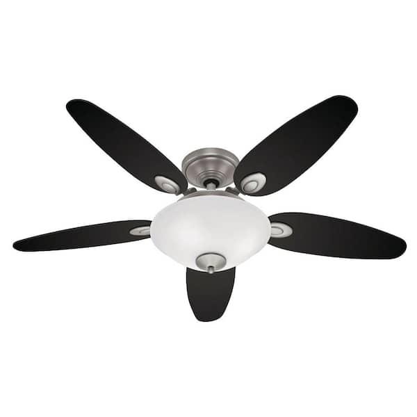 Hunter Paxton 48 in. Antique Pewter Ceiling Fan-DISCONTINUED