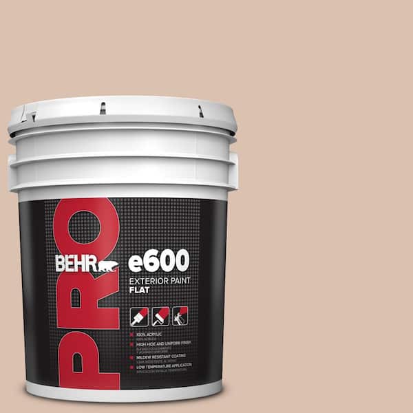 5 gal. #S220-2 Artisan Tea Flat Exterior Paint