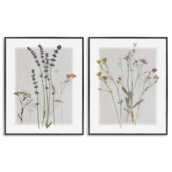 Delicate Wildflower Herb Sprigs by Carol Robinson 2 Piece Black Framed Giclee Art Print Nature 30 in. x 24 in.