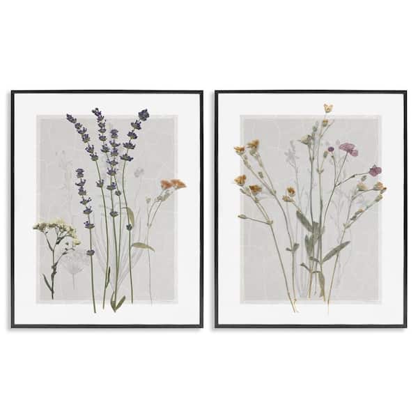 Delicate Wildflower Herb Sprigs by Carol Robinson 2 Piece Black Framed Giclee Art Print Nature 30 in. x 24 in.
