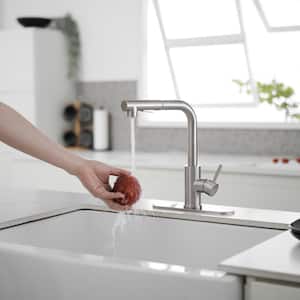 Single Hole Single-Handle Pull Out Kitchen Faucet with Pull Down Sprayer with Deck Plate Utility in Brushed Nickel
