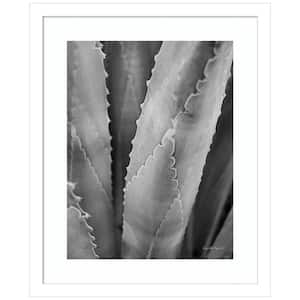 "Abstract Agave I" by Elizabeth Urquhart 1 Piece Wood Framed Black and White Nature Photography Wall Art 17-in. x 14-in.
