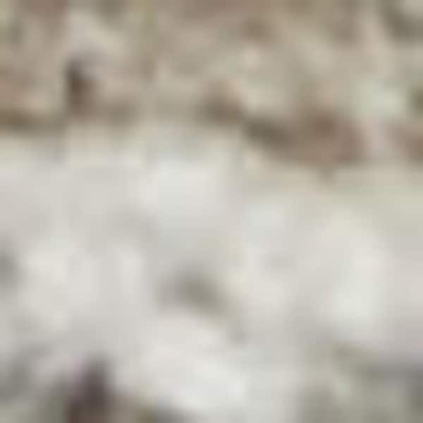 4 ft. x 6 ft. Pink and Ivory Floral Power Loom Area Rug