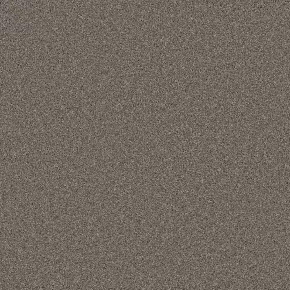 8 in. x 8 in. Texture Carpet Sample-Trestle I-Color Pier price history on PriceWatchPro