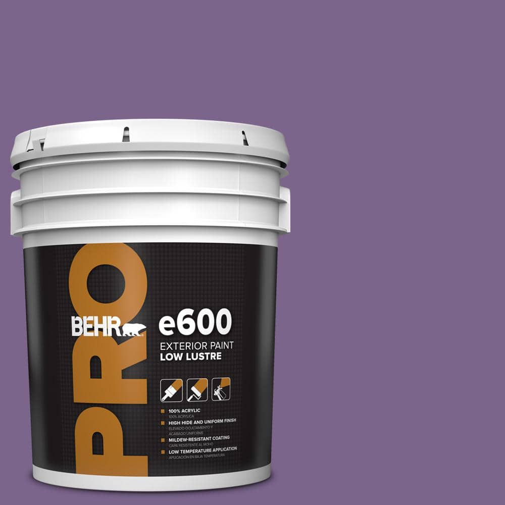 5 gal. #M570-6 Notorious Low Luster Exterior Paint price history on PriceWatchPro