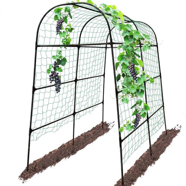6-Ft High Narrow Garden Trellis in Metal Sprouting Twig Leaf main image 1