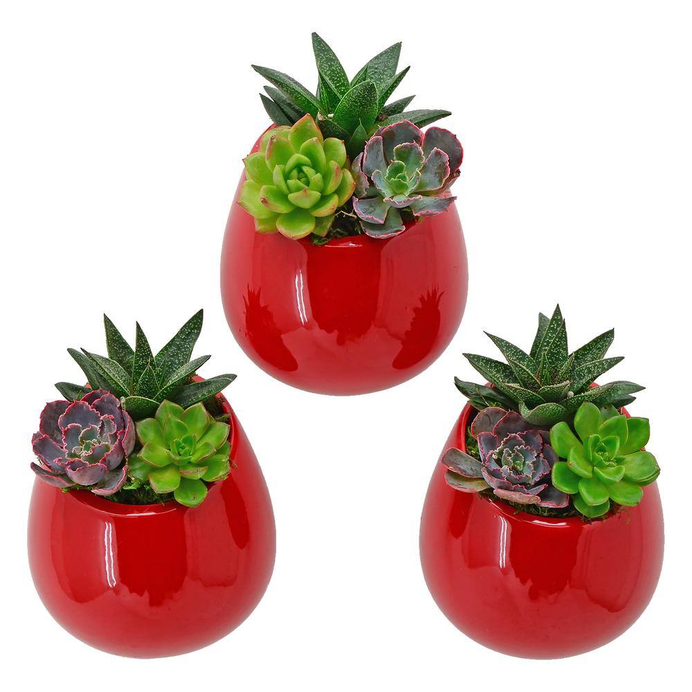 Small Red Ceramic Round Wall Planter Set