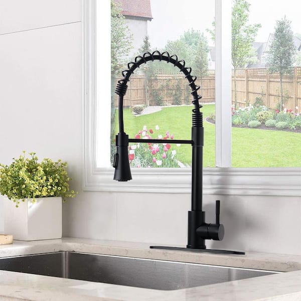 Unbranded Single Handle Pull Down Sprayer Kitchen Faucet, Stainless Steel, Commercial/Domestic with 360° Swivel in Black