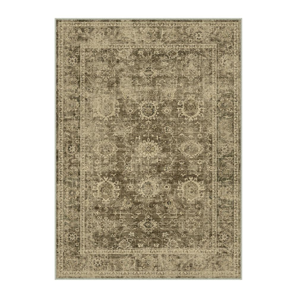 Fars Brown 8 ft. x 10 ft. Distressed Vintage Floral Area Rug price history on PriceWatchPro