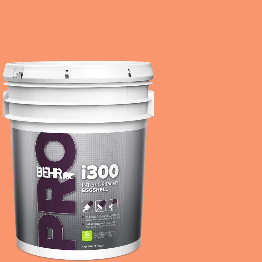 5 gal. #220B-5 Autumn Arrival Eggshell Interior Paint price history on PriceWatchPro