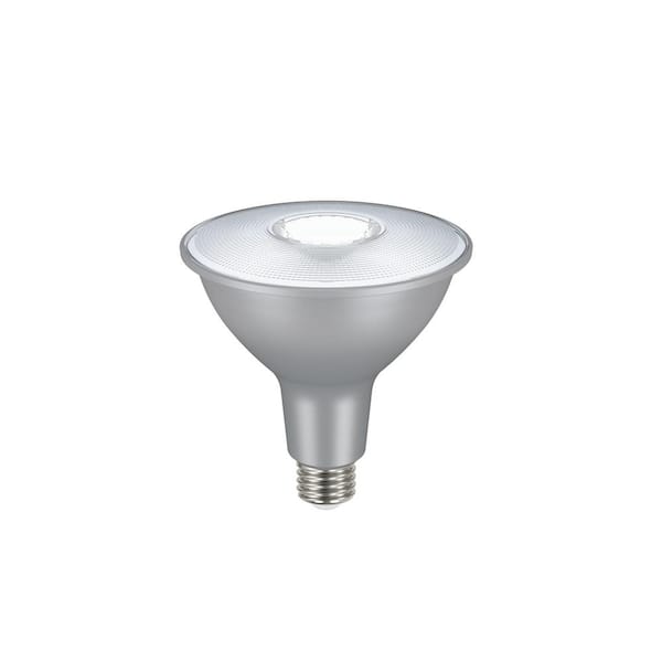 verlangen wrijving schoorsteen EcoSmart 120-Watt Equivalent PAR38 Dimmable Flood LED Light Bulb Daylight  (2-Pack) A20PR38120WES52 - The Home Depot