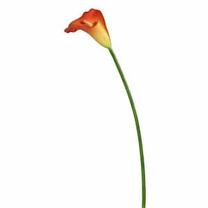 28 in. Artificial Orange and Yellow Large Stem Calla Lily