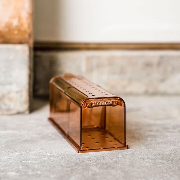 Sunnydaze Catch and Release Humane Mouse Trap - Mechanical Animal