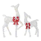 2-Piece Warm White LED Doe and Fawn Holiday Yard Decoration