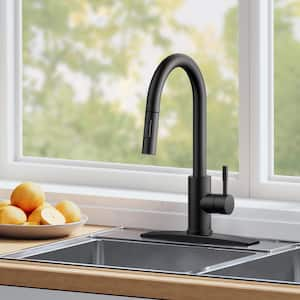 Single Handle Pull Down Sprayer Kitchen Faucet with Deckplate and Soap Dispenser in Matte Black