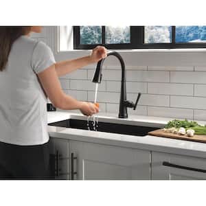 Emmeline Single-Handle Pull-Down Sprayer Kitchen Faucet with Touch2O and ShieldSpray in Matte Black