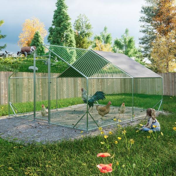 Tileon 10 ft. W x 13 ft. D Outdoor Storage Metal Shed, Chicken