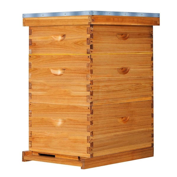10-Frame Langstroth Bee Hive Beeswax Coated Cedarwood Includes Deep Medium Boxes Frames Foundations Beekeeping Kit