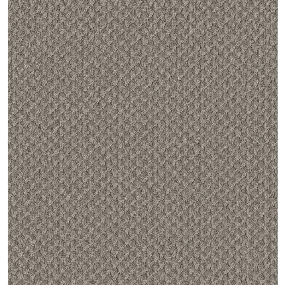 8 in. x 8 in. Pattern Carpet Sample - Genevieve -Color Mocha Torte price history on PriceWatchPro