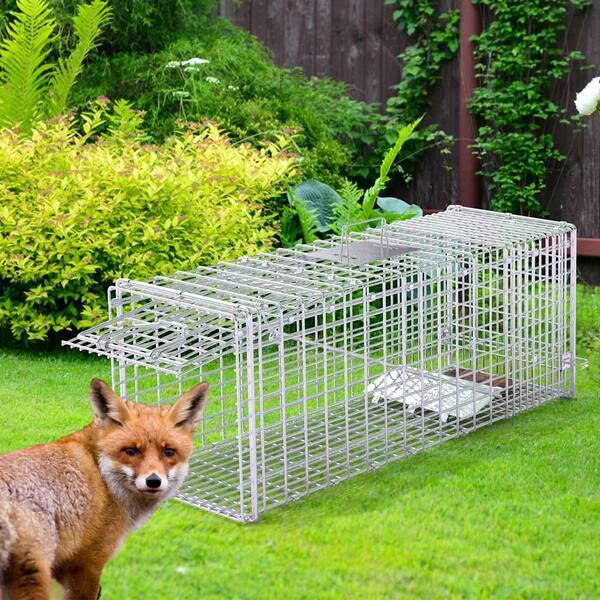IMounTEK 24" Humane Live Animal Trap Cage – For Raccoon, Cat, Fox, Small Dog