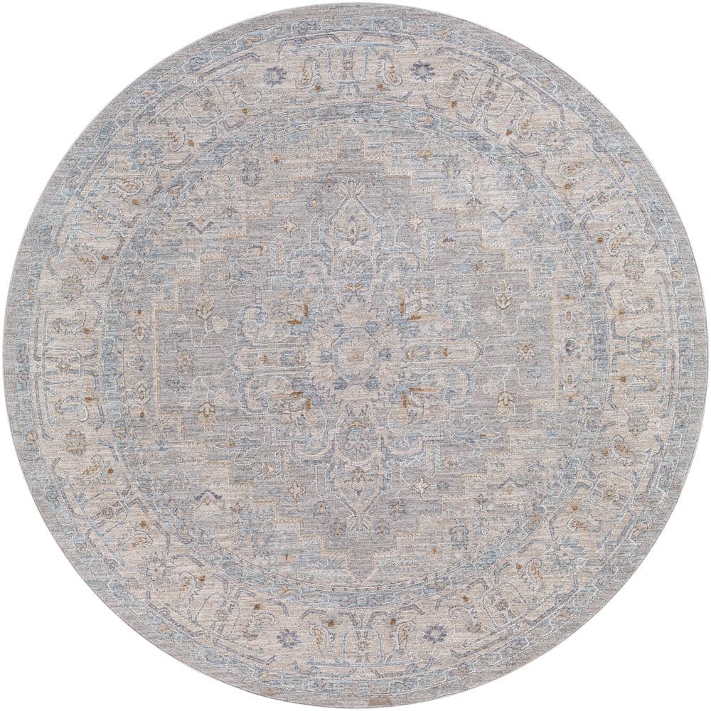 Shuri Light Gray 8 ft. Round Indoor Area Rug price history on PriceWatchPro