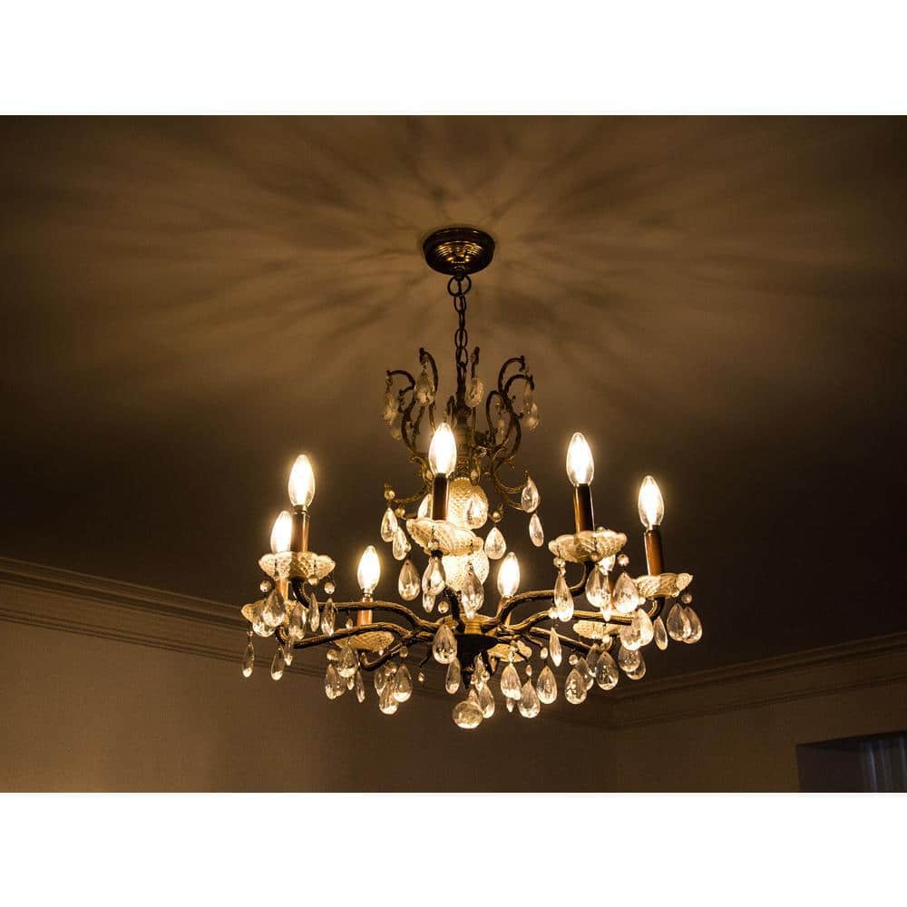 25-Watt Equivalent Clear Glass Vintage LED Light Bulb Soft White